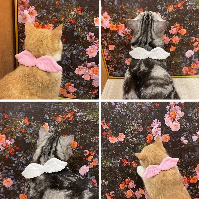New Cat Specific Pet White Collar Angel Wing Accessories