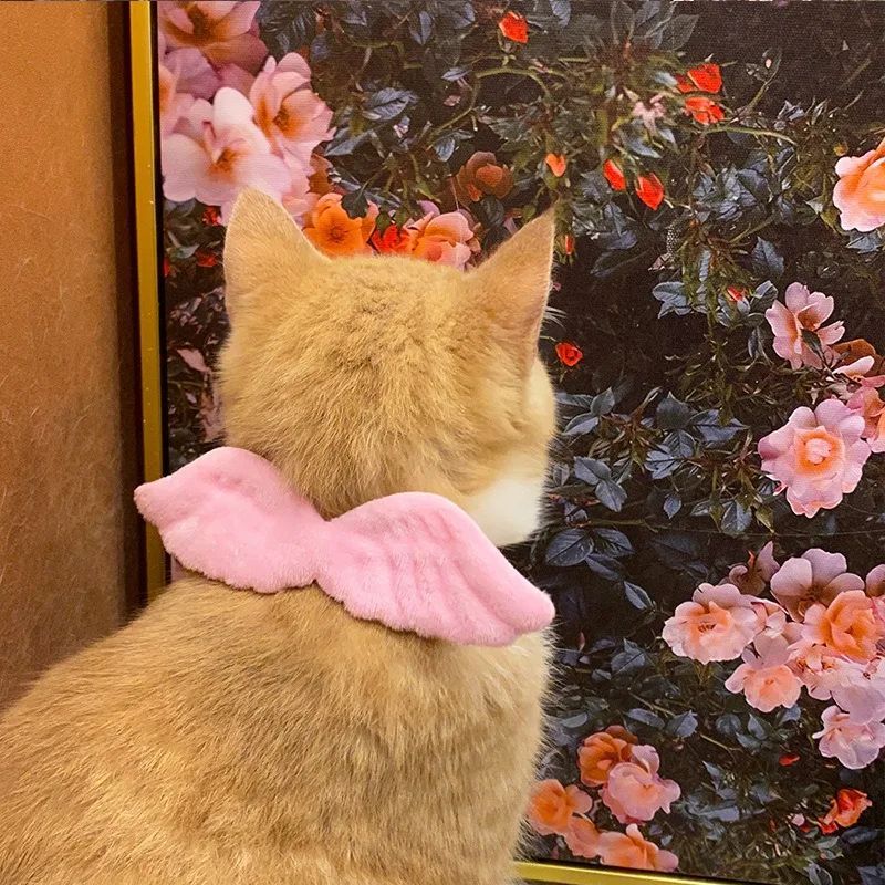 New Cat Specific Pet White Collar Angel Wing Accessories